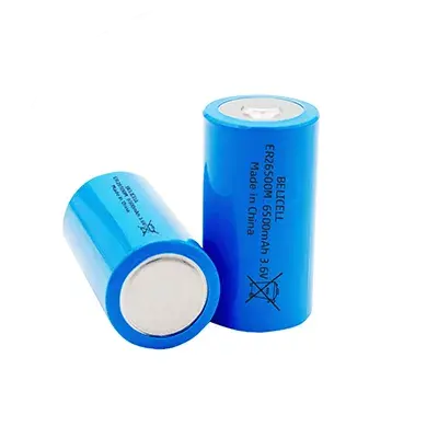 Li-SOCl2 Batteries